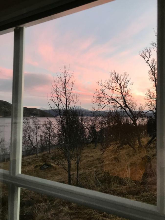 Kvaloya Lodge Futrikelv Экстерьер фото
